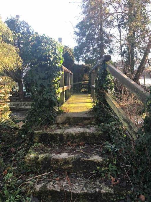 Eco-Friendly Dorset Cottage With Spa Set In Heart Of Countryside Sydling St Nicholas Exteriör bild