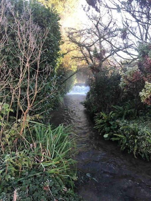 Eco-Friendly Dorset Cottage With Spa Set In Heart Of Countryside Sydling St Nicholas Exteriör bild