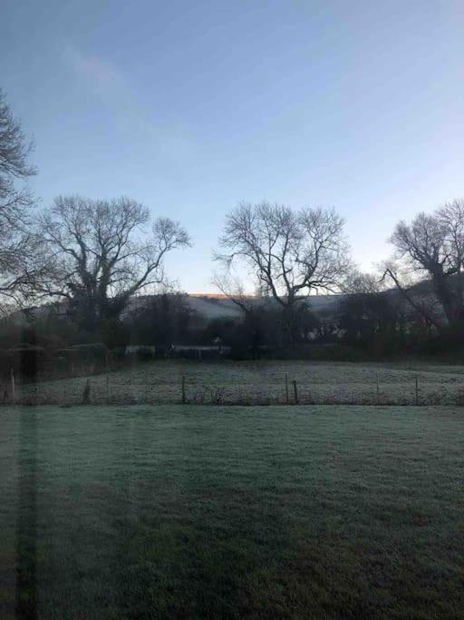 Eco-Friendly Dorset Cottage With Spa Set In Heart Of Countryside Sydling St Nicholas Exteriör bild